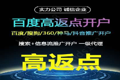 顶级SEM服务公司案例解析
